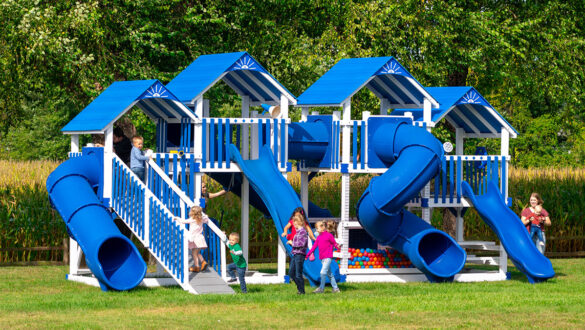 This Image Shows a Blue Playground from King Swings