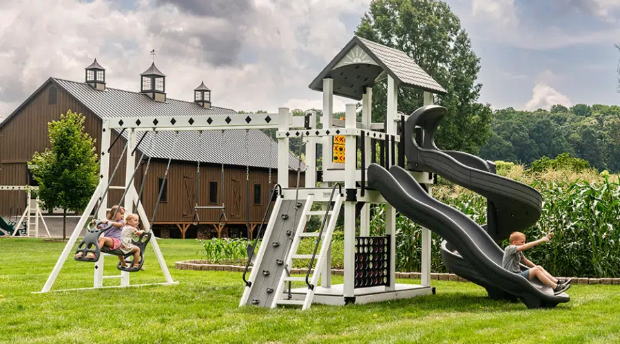 Treasure Cove Swing Set