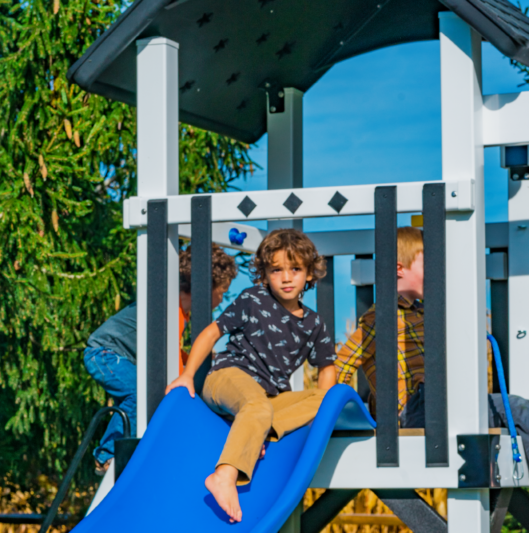 Swing Set Color Options » King Swings